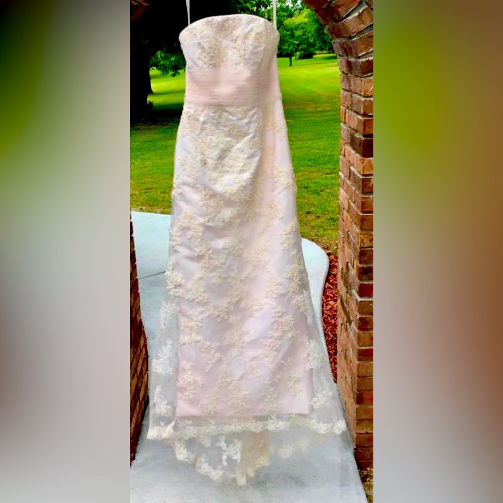 Private Collections  Wedding Dress in Pale Pink with Pale Pink Bridal Veil.